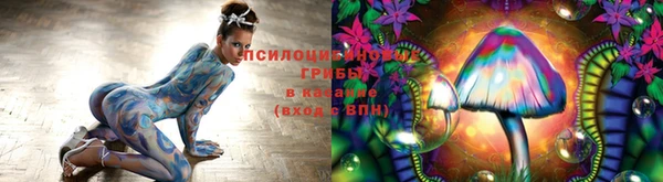 дживик Алексин