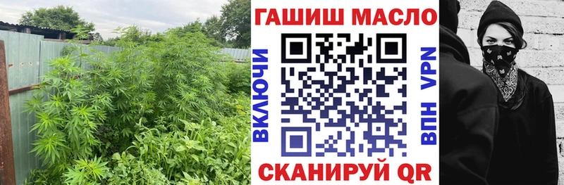ТГК концентрат Талица