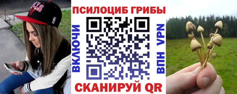 Псилоцибиновые грибы MAGIC MUSHROOMS  KRAKEN рабочий сайт  Талица 